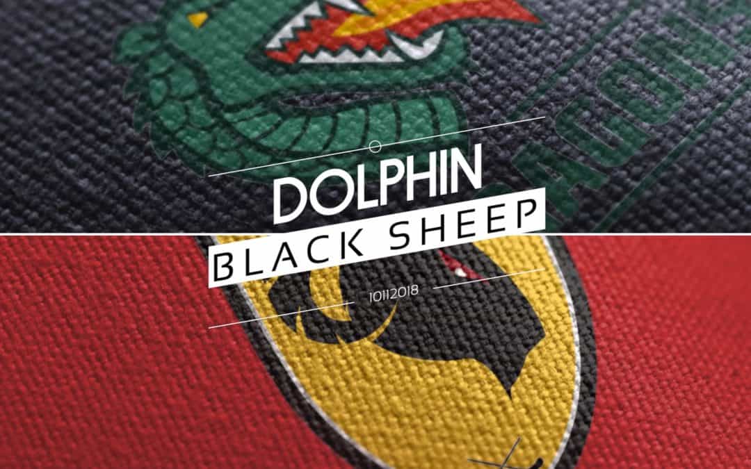 Dolphin too strong for Black Sheep